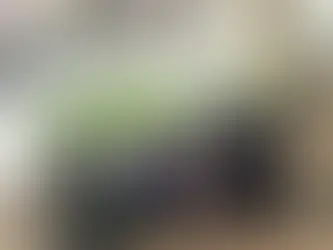 Guest Blog: Whitworth Alumni Reflects