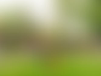 Celebrate PRIDE: Empower LGBTQ+ Students